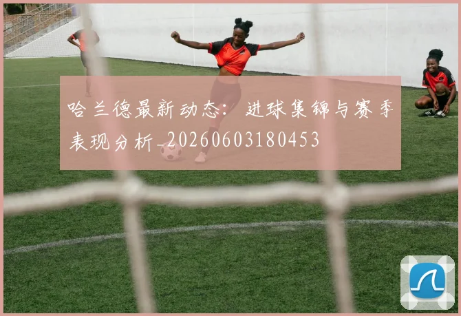 哈兰德最新动态:进球集锦与赛季表现分析_20260603180453